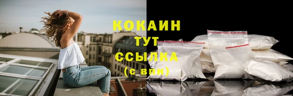 прущие грибы Козловка