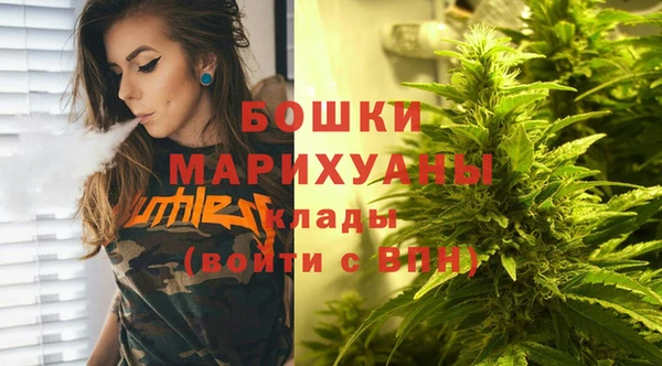 прущие грибы Козловка