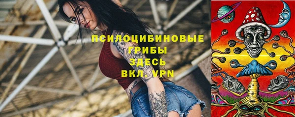 прущие грибы Козловка