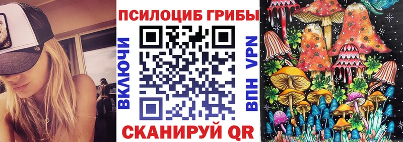 закладка  Кораблино  Галлюциногенные грибы Psilocybine cubensis 